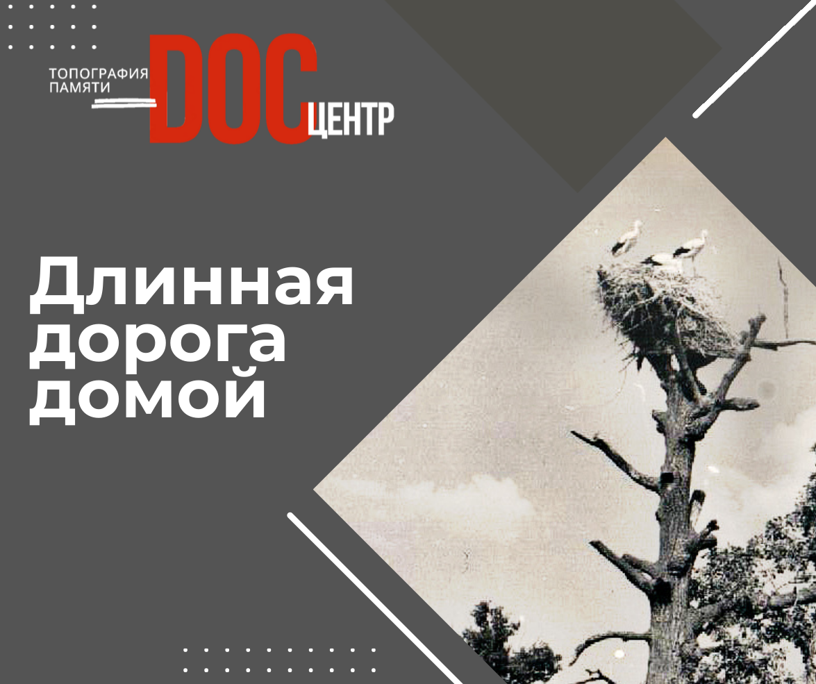 Длинная дорога домой